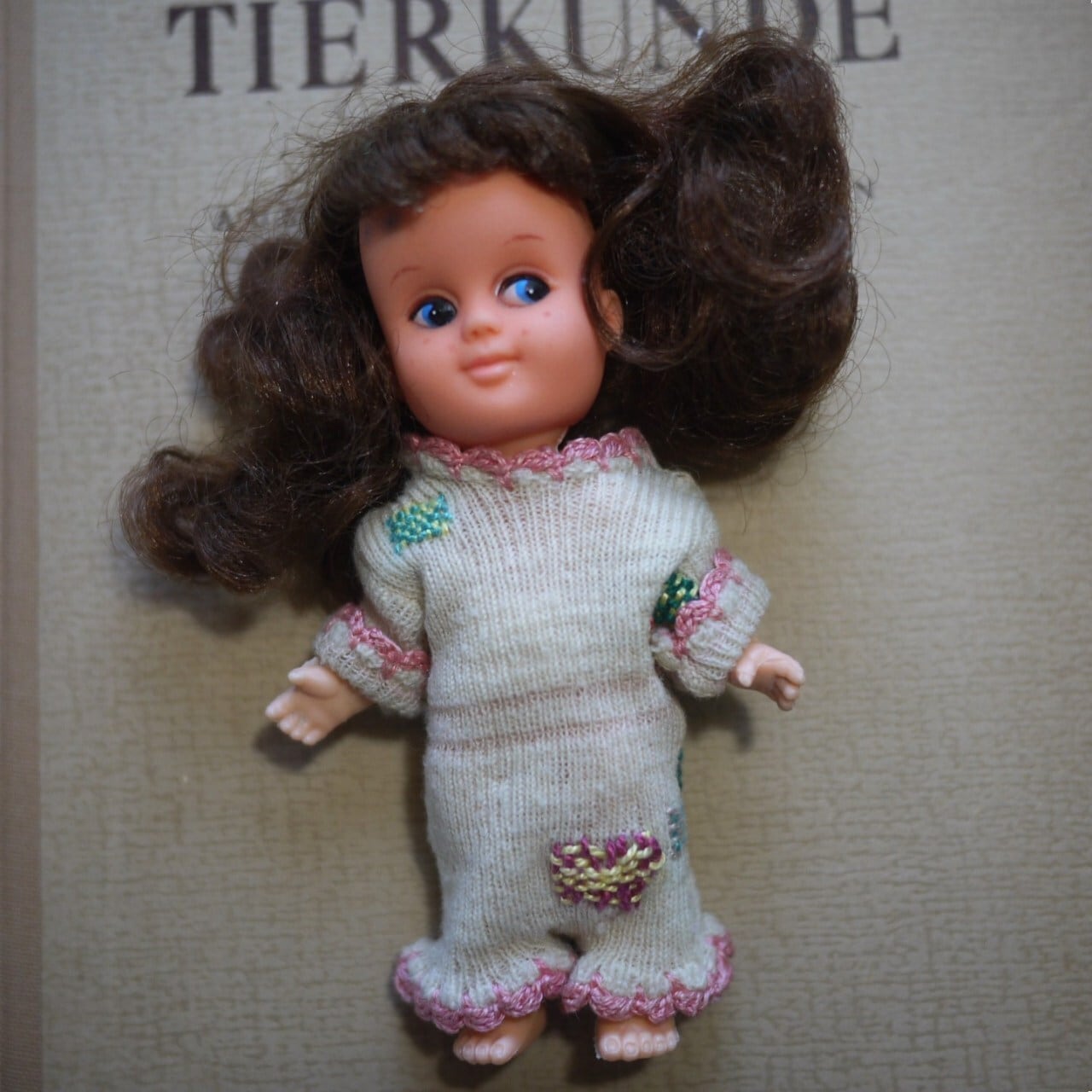 そばかすの女の子 ラバードール Hongkong