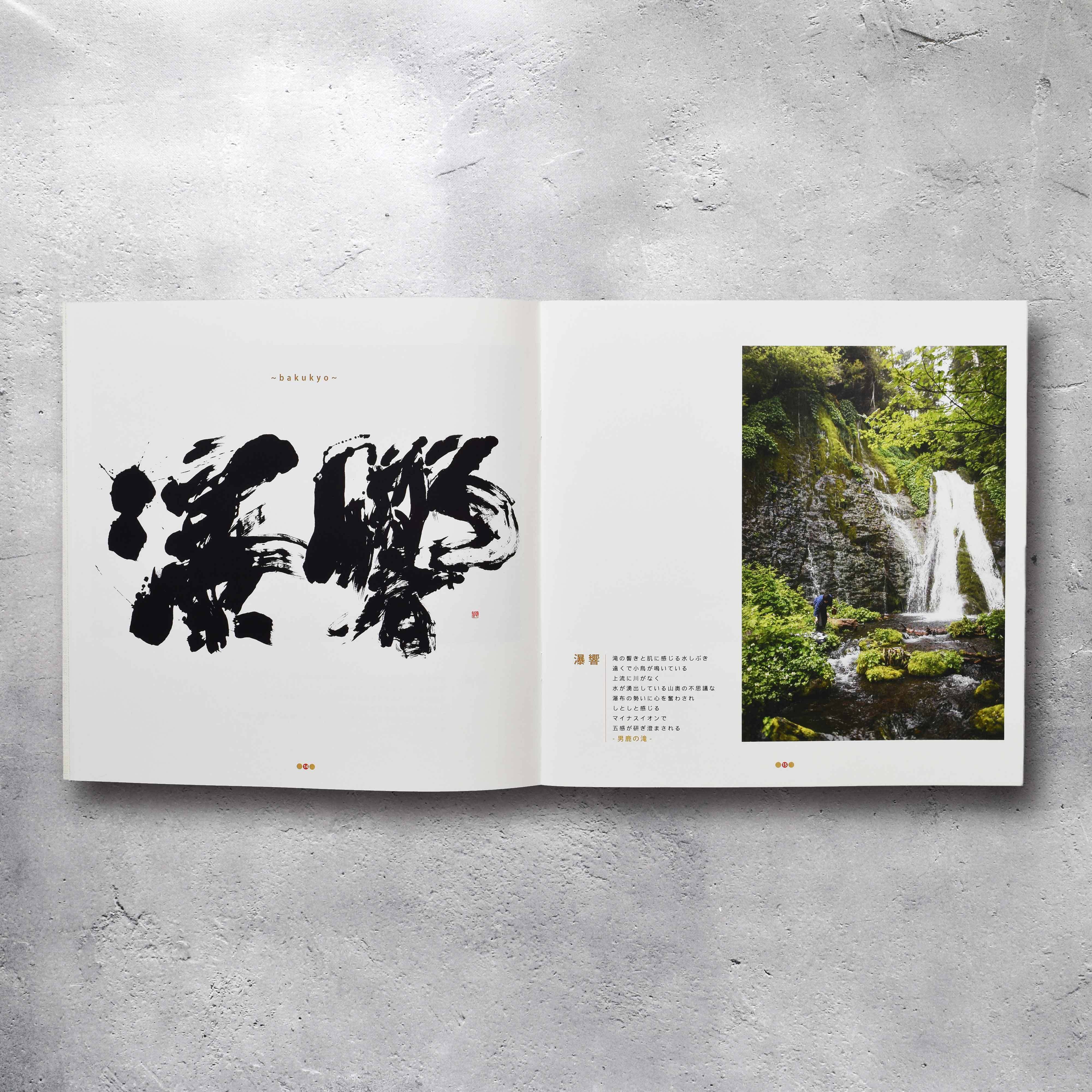 通常版】書道作品集「鼓動」 | 書道家 長谷川悠貴 ONLINE SHOP