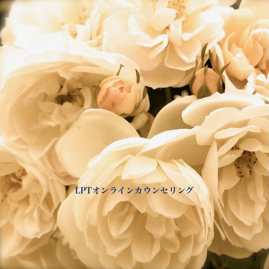 ポンデリングフローライト母岩付き＊ブドウ状蛍石原石＊251005＊天然石