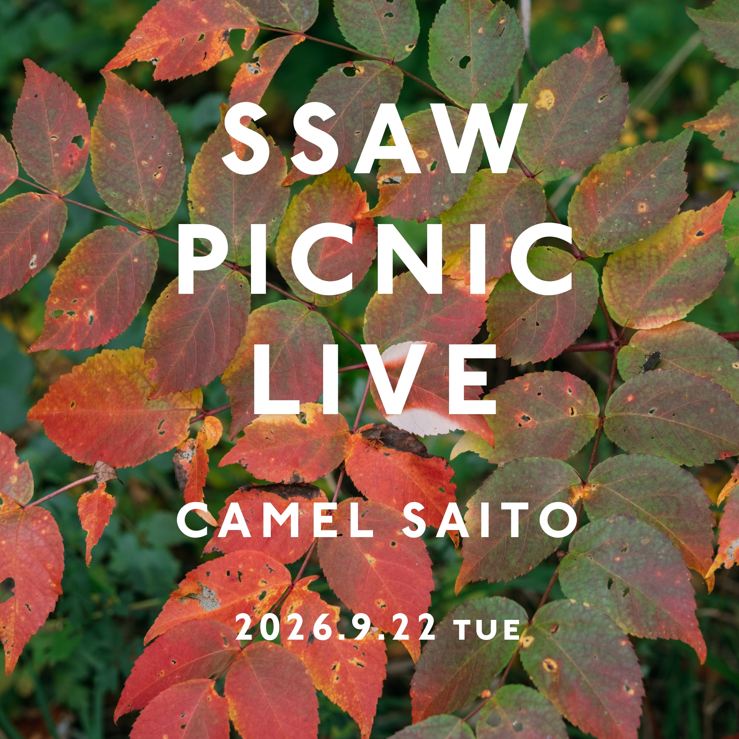 〈9/22開催〉SSAW PICNIC LIVE チケット