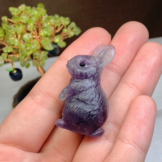 りんご大好きうさぎさん☆りんごがなる招財樹・ペリドット