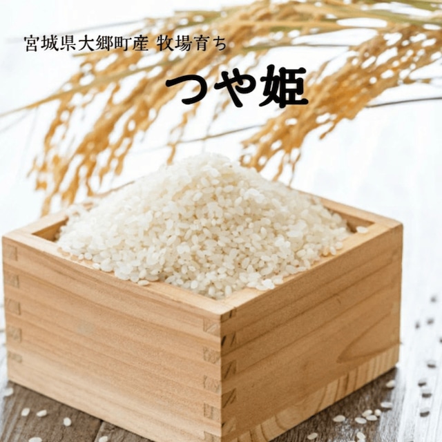 送料無料 令和7年産 減農薬・有機肥料使用 宮城県産 つや姫 5kg 白米 玄米 菊池牧場