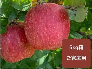 サンふじ 【ご家庭用】5kg箱