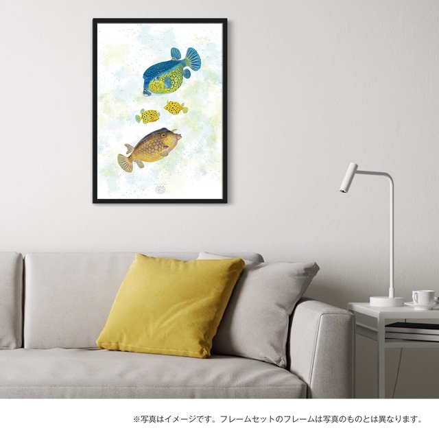 【海のいきものアートポスター／魚】ハコフグ