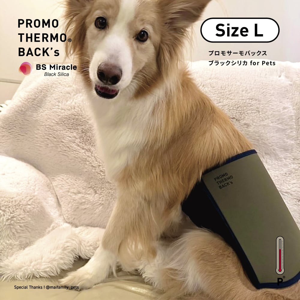 BACK's（バックス） | PROMO THERMO（プロモサーモ）