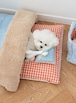 即納【noutti】Duck Blanket Cushion set (SkyXOrangeRed)