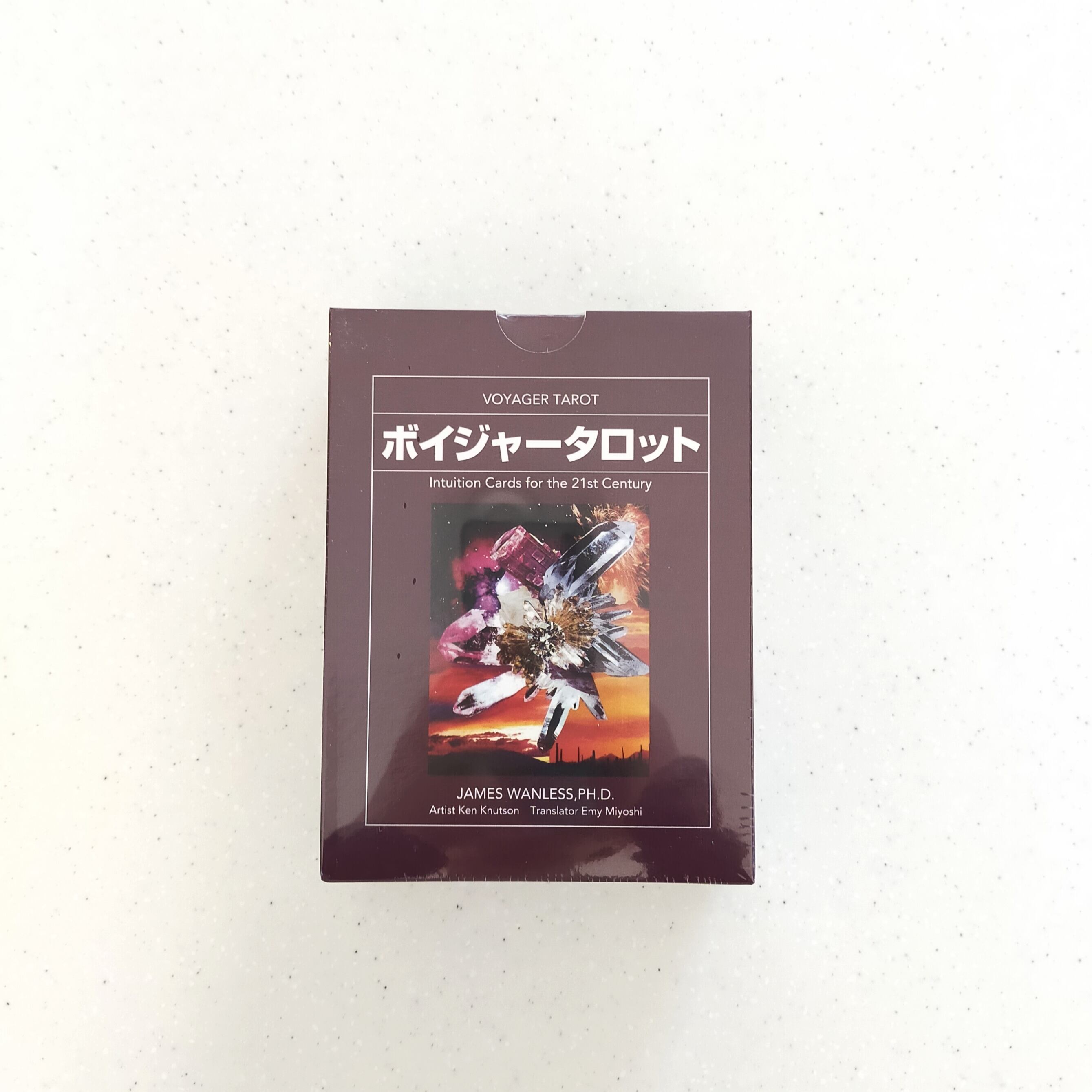 通常版】ボイジャータロット｜日本語解説書付き | VOYAGER TAROT AVIS
