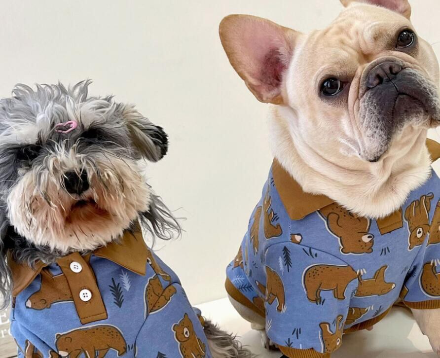 《予約》1102067 のんびりくまさんストレッチポロシャツ