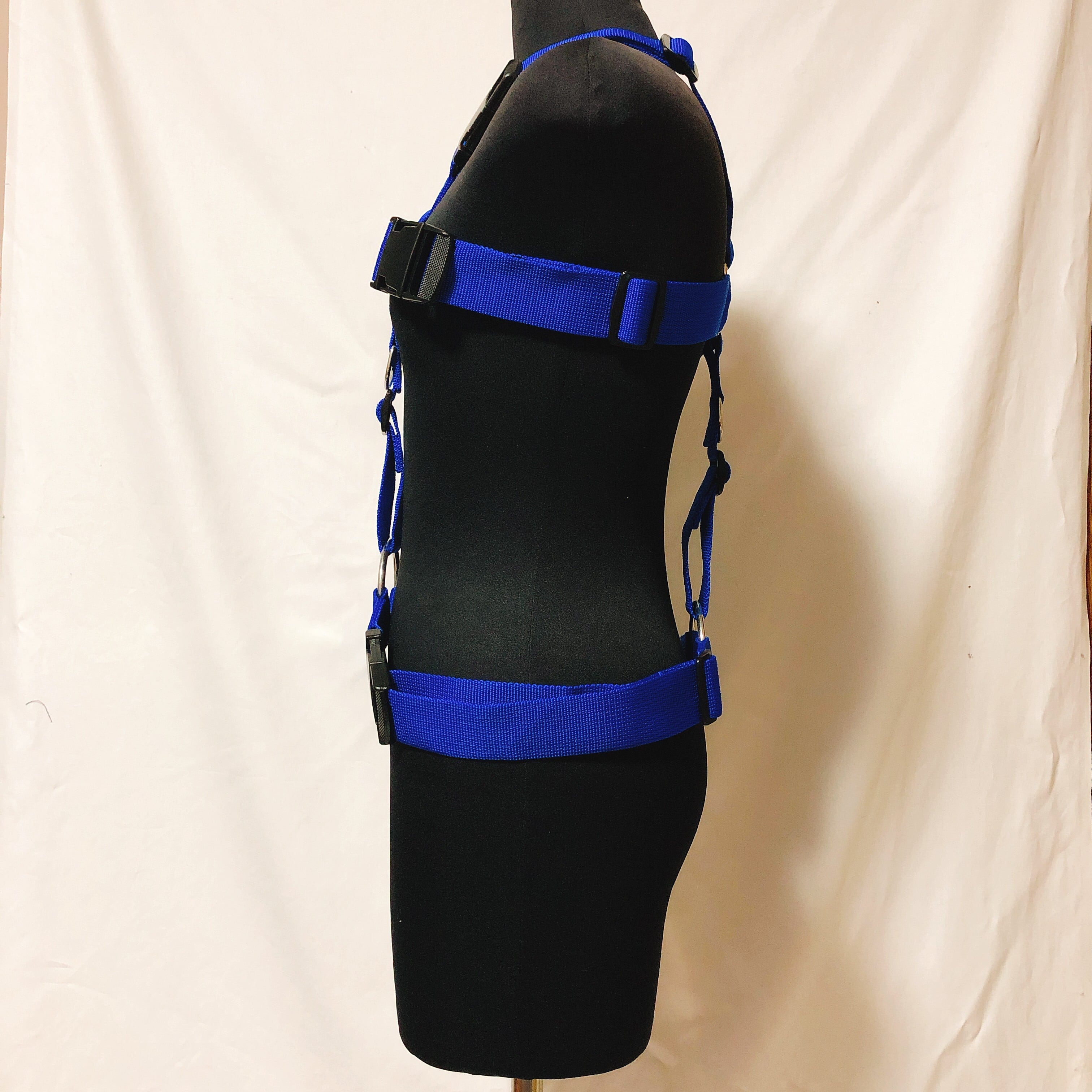 フルハーネス ブルー