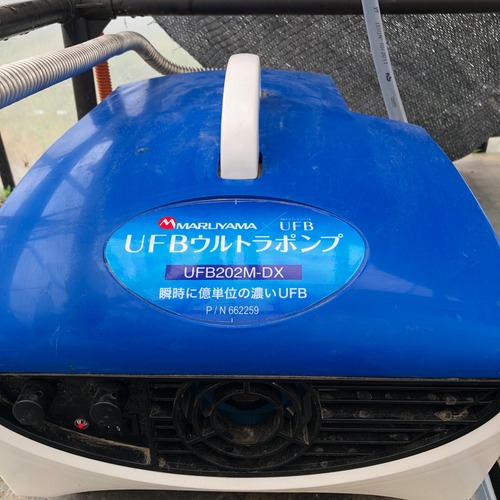 【結-musubu-】（3kg）