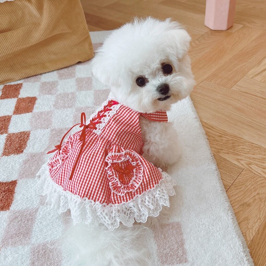 童話の世界 ギンガムチェックのワンピース