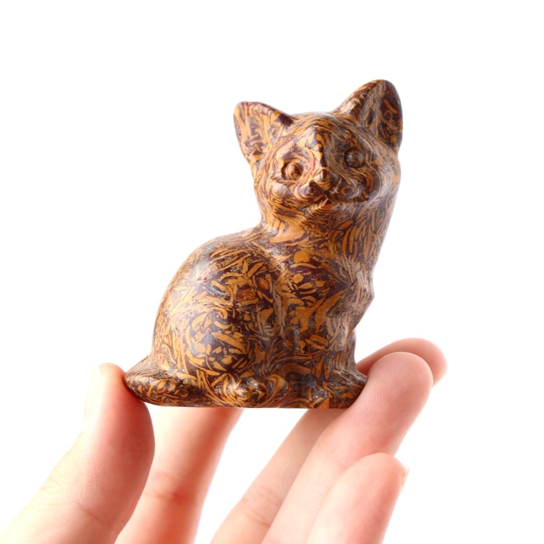 エレファントスキンジャスパーのねこ