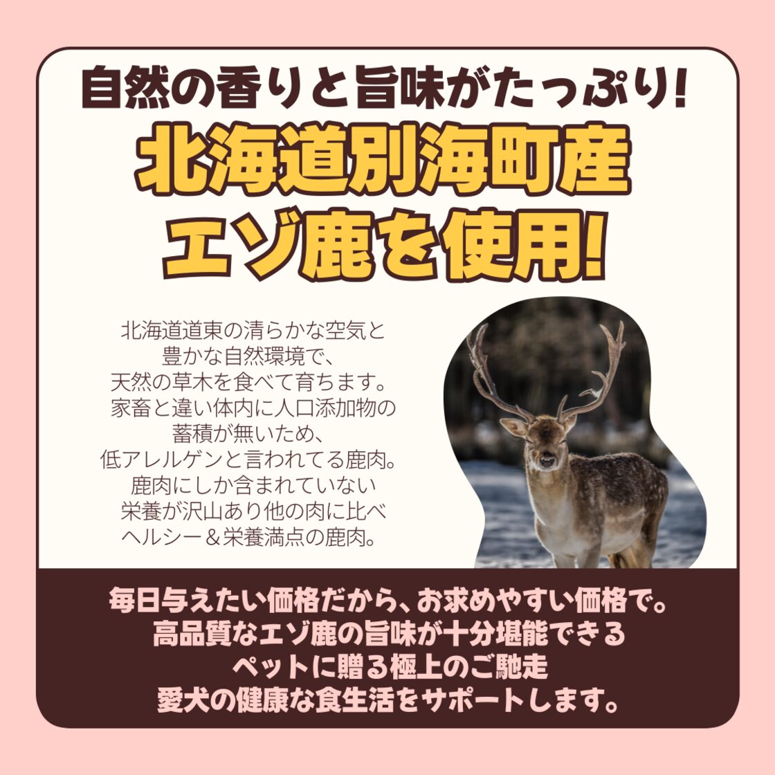 鹿の袋角 鹿茸 蝦夷鹿のツノ 鹿茸 袋ツノ 蝦夷鹿のツノ 鹿茸 袋ツノ