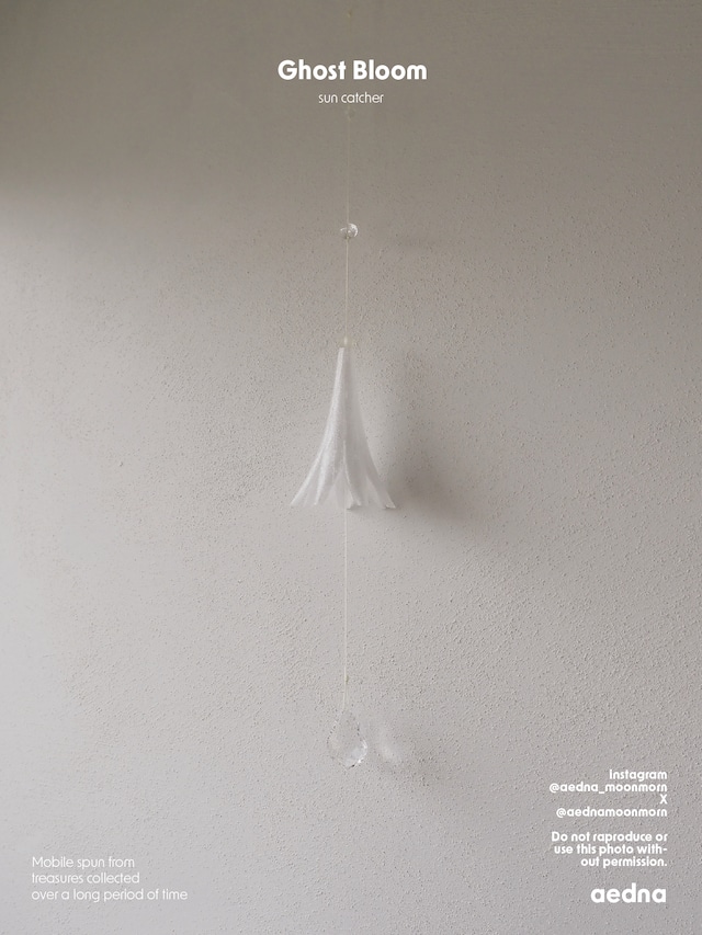 sun catcher [Ghost Bloom]