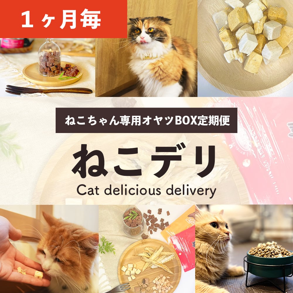 ねこデリ【1ヶ月毎にお届け！】毎月メニューが変わる！（お品書き付き