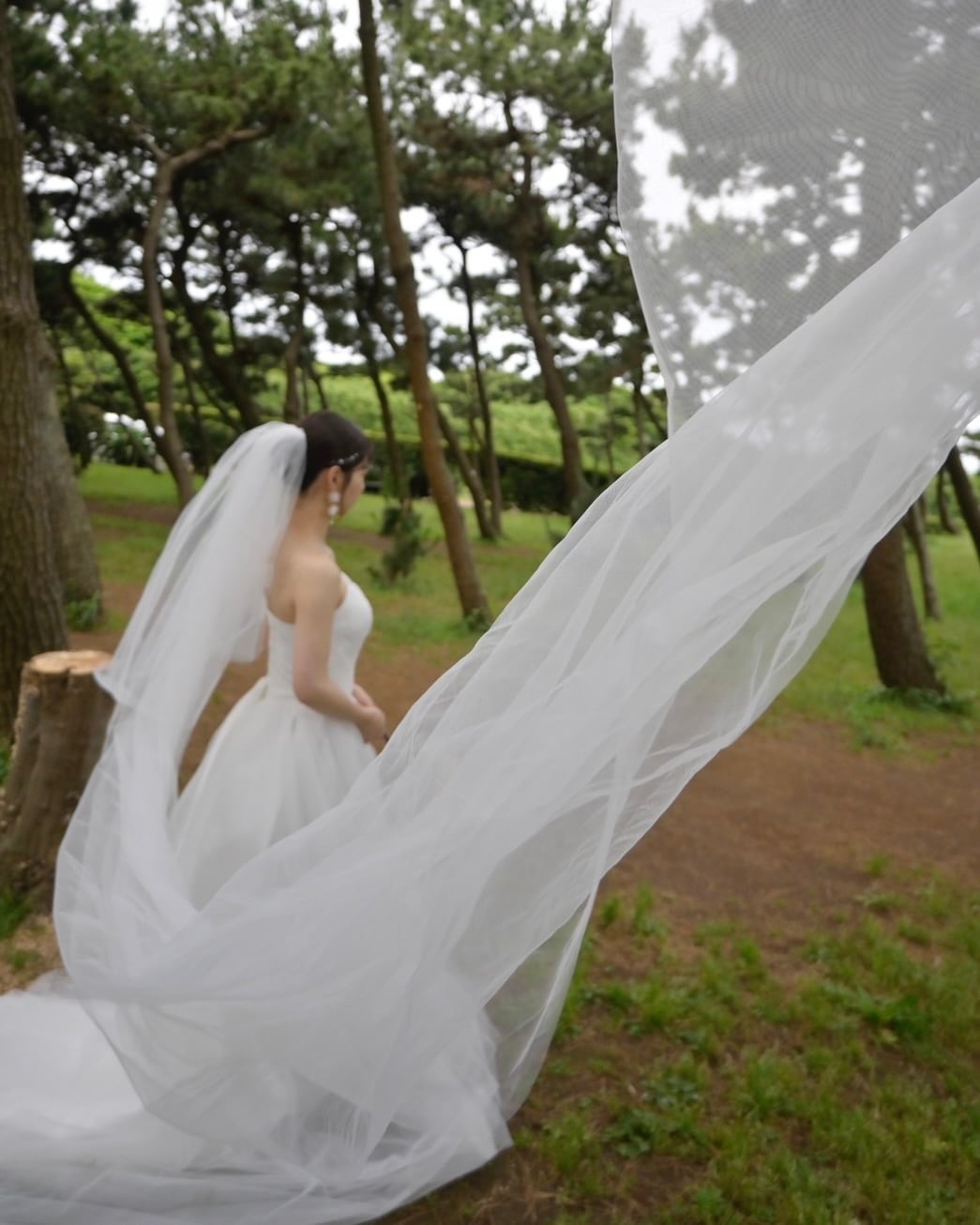 ロングウェディングベール【VL2306-05】 | ブライダルアクセサリー