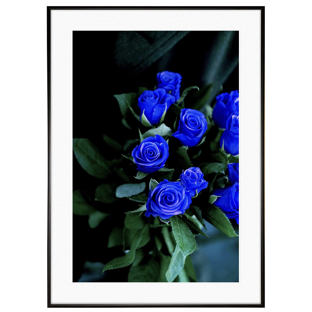 花写真 青いバラ(薔薇・ブルーローズ) インテリアアートポスター額装