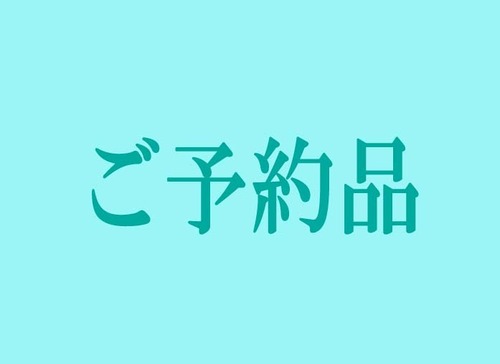 H様ご予約品「九谷焼ロディ　色絵松竹梅紋」