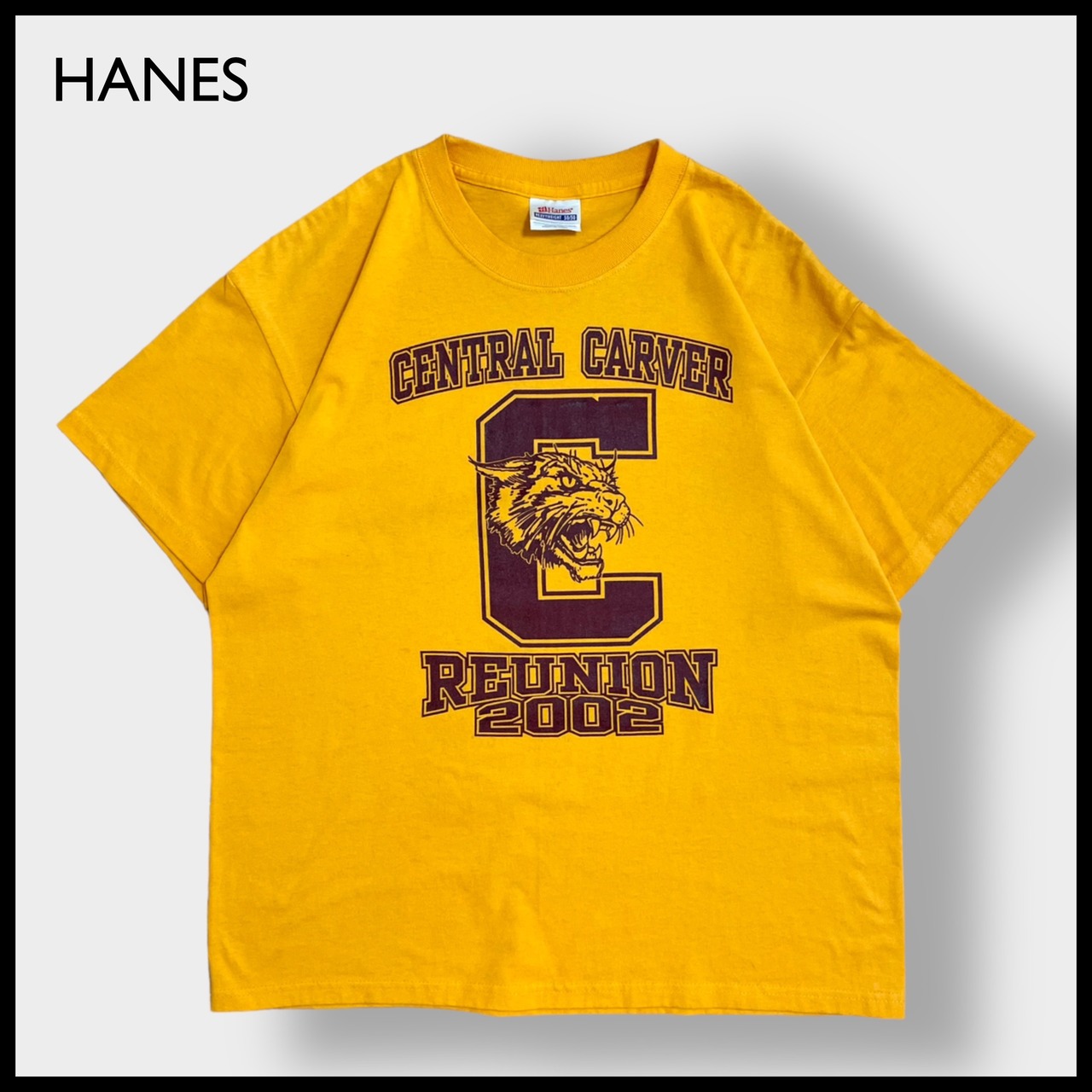 【HANES】CENTRAL CARVER  ロゴ アニマルプリント Tシャツ 半袖 イエロー LARGE ヘインズ US古着