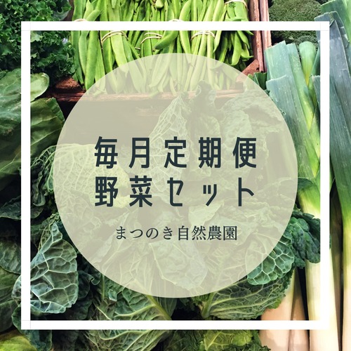 【毎月定期便】　旬の彩り新鮮野菜セット