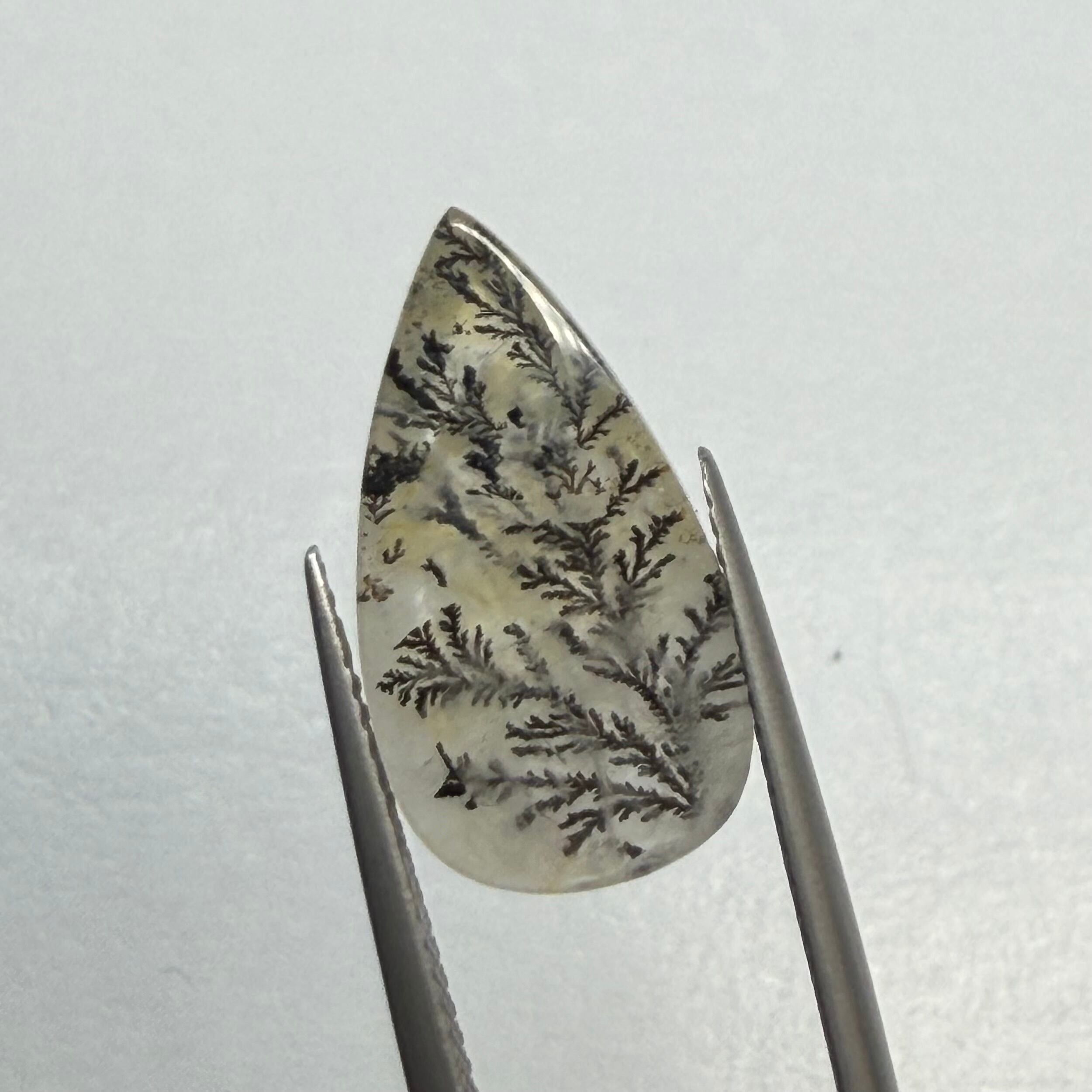 冬景色　デンドリティッククオーツ