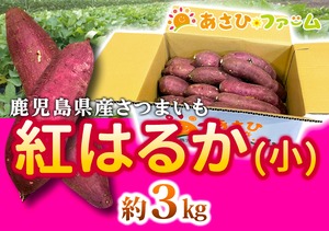 [人気の紅はるか】焼き芋や炊飯器でのふかし芋におすすめ！鹿児島県産さつまいも【段ボール入り小・3㎏】