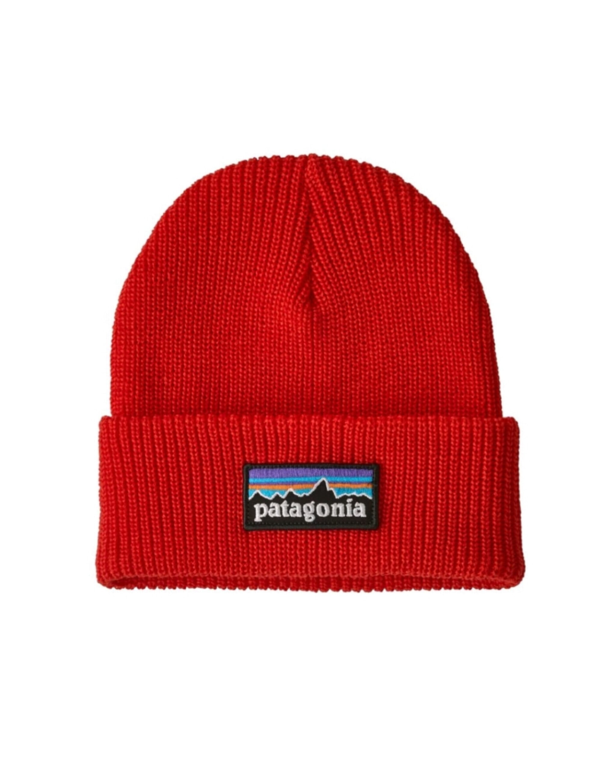 【patagonia】キッズ・ロゴ・ビーニー / PLSI / 66046