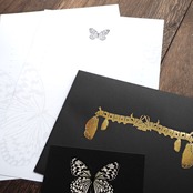 オオゴマダラのレターセット