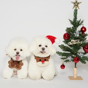 【PET】4種類クリスマスデザインスタイ