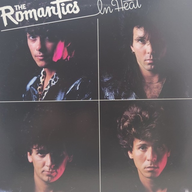 The Romantics / In Heat [25AP 2738] - メイン画像