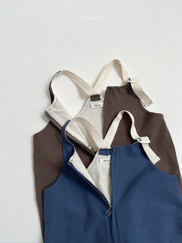 〘予約〙digreen / nova overalls