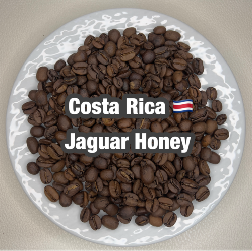 Costa Rica Jaguar Honey（コスタリカ ジャガー ハニー）100g 【受注焙煎・自家焙煎コーヒー豆】【ベリーのような爽やかな酸味】