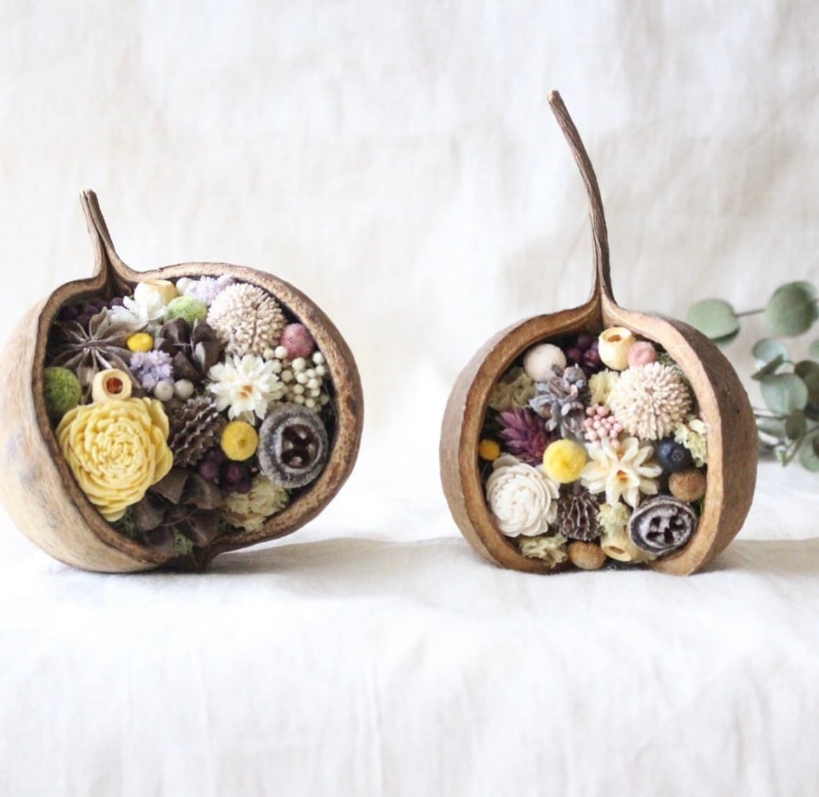 ブッダナッツのアレンジメント | flowershop Dearkukka