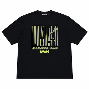LOGO BIG TEE（3color）