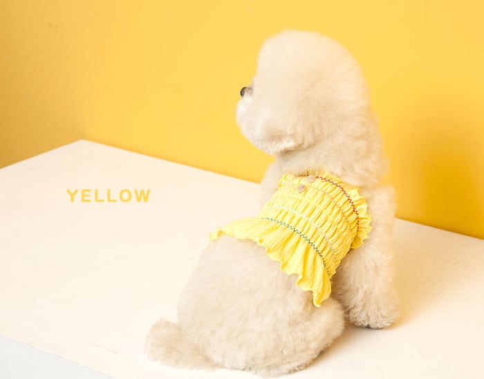 【SALE】 Rollin croptop S ~ 2XL 6color / 犬の服 犬服 新作 ショート丈 お揃い クロップドトップス 小型犬 中型犬 ペット洋服 ドッグウェア ペット用品 b37