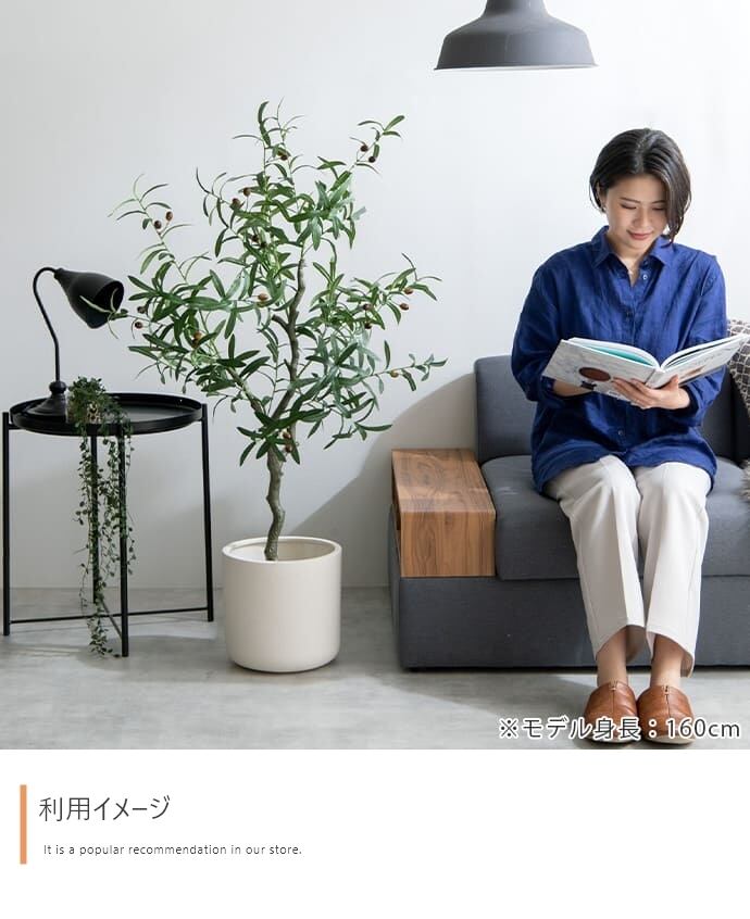 観葉植物 オリーブ フェイクグリーン 光触媒人工観葉植物 高さ125cm