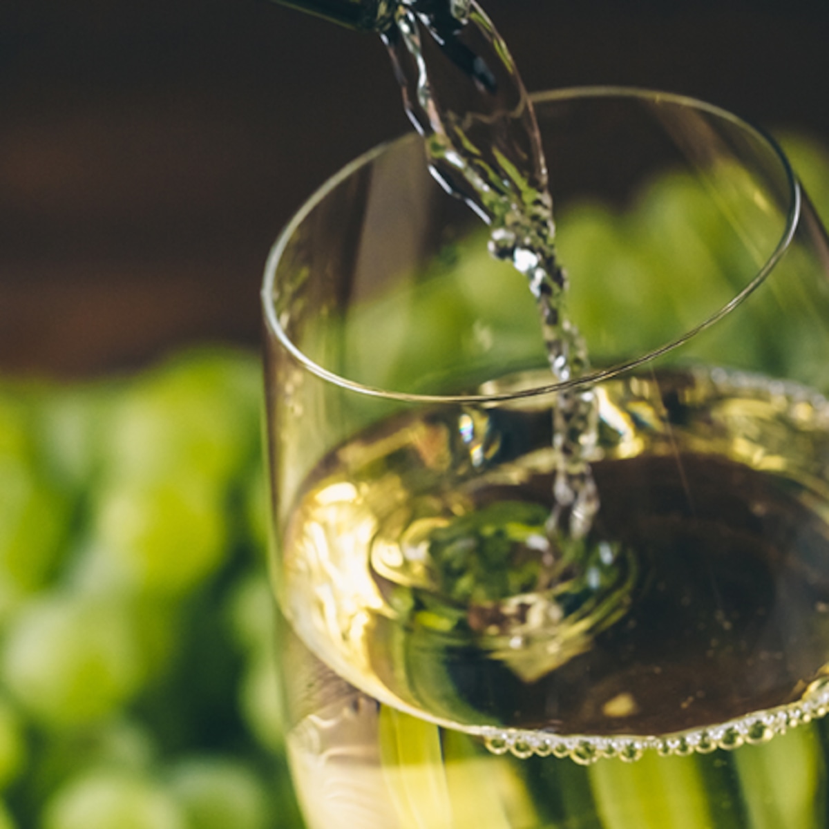 Citron de Vigne = Citrus Champagne (Fresh Type) CANDLE WORKS 韓国