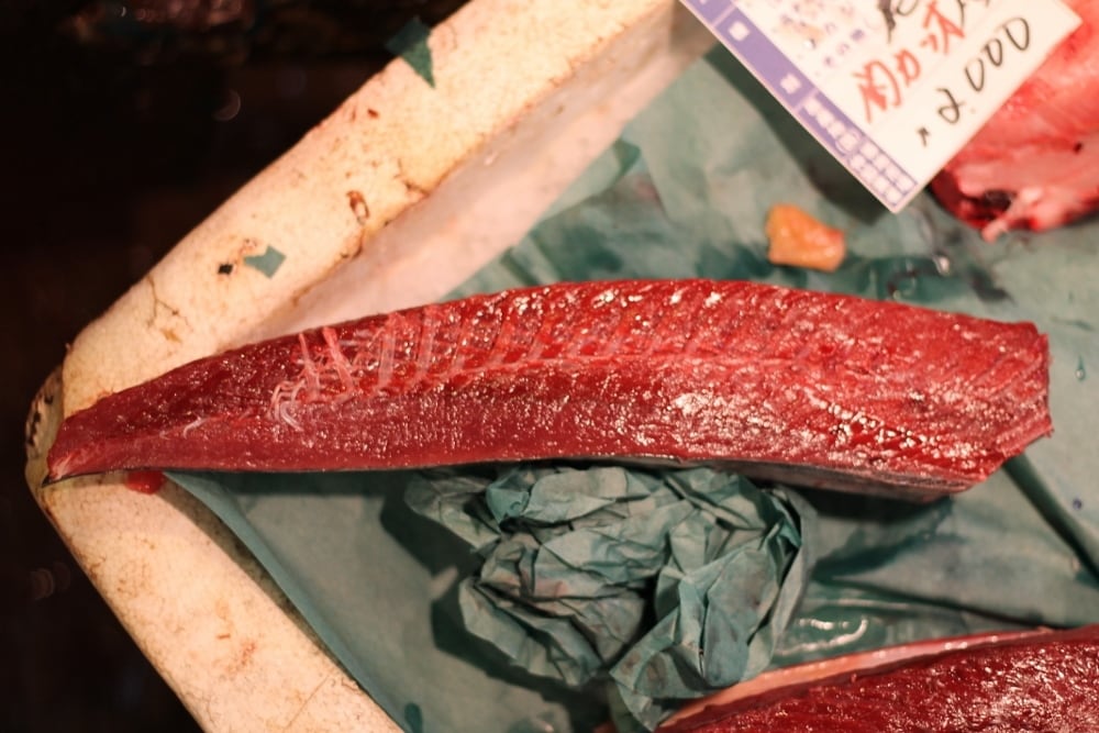 生 初鰹 カツオ 四分一 約1-1.5kg（豊洲直送）九州・千葉産 他