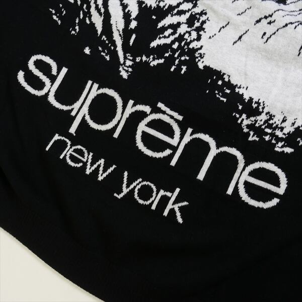 Size【L】 SUPREME シュプリーム 23SS Big Cats Jacquard L/S Top ロン