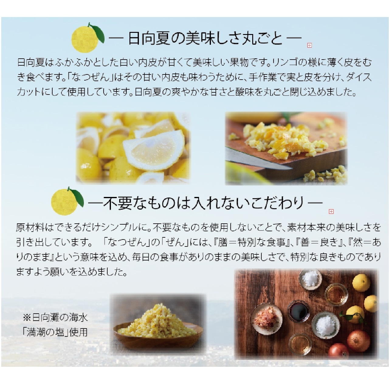 【新商品】なつぜん（Premium Fresh Dressing) １４５ｍｌ