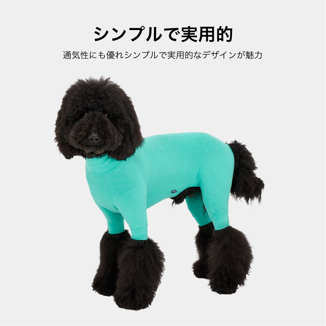 SKIN TIGHT SUIT（M.MD.L）スキンタイトスーツ | MANDARINE BROTHERS