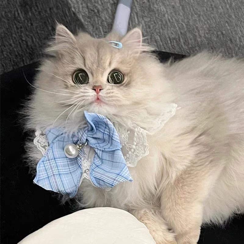 エレガントなお花　水色　リボン　猫　5個セット Amazon | 【anilet+】ミニ財布 2つ折り リボンチェック ネコポンポン