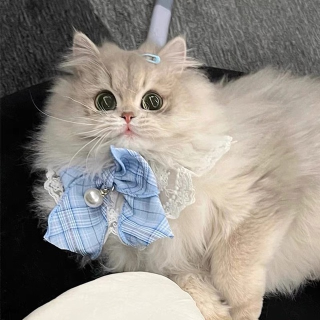 レースチェックリボン<ブルー> エプロン リボン 猫 付け襟
