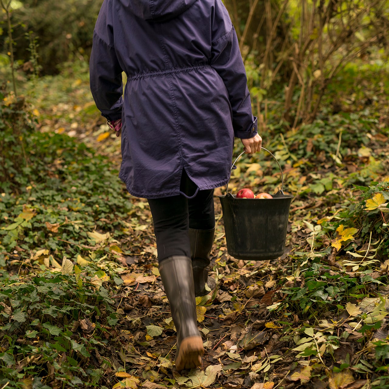 リアルペイントシート Risotto Nero llica 隠れ家的イタリアンバル トラットリア シェ ラパン(町田駅/イタリアン