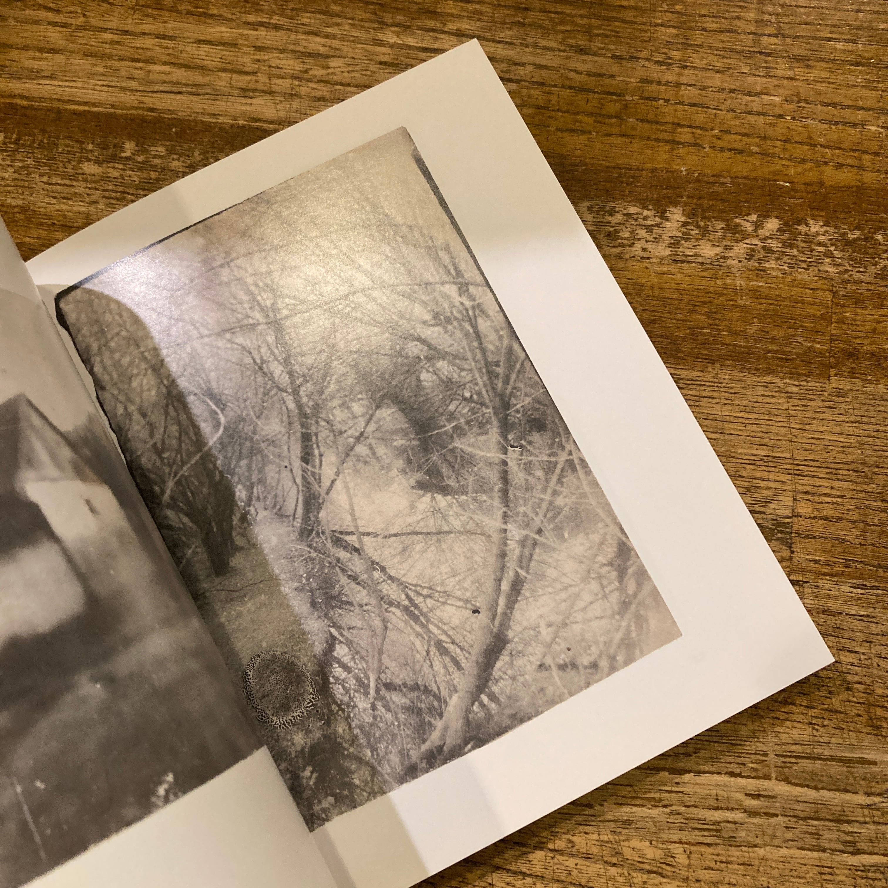 Miroslav Tichy ミロスラフ・ティッシー (FOTOTORST 23) | 百年