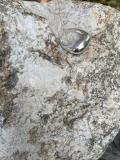 nivå ring (232)