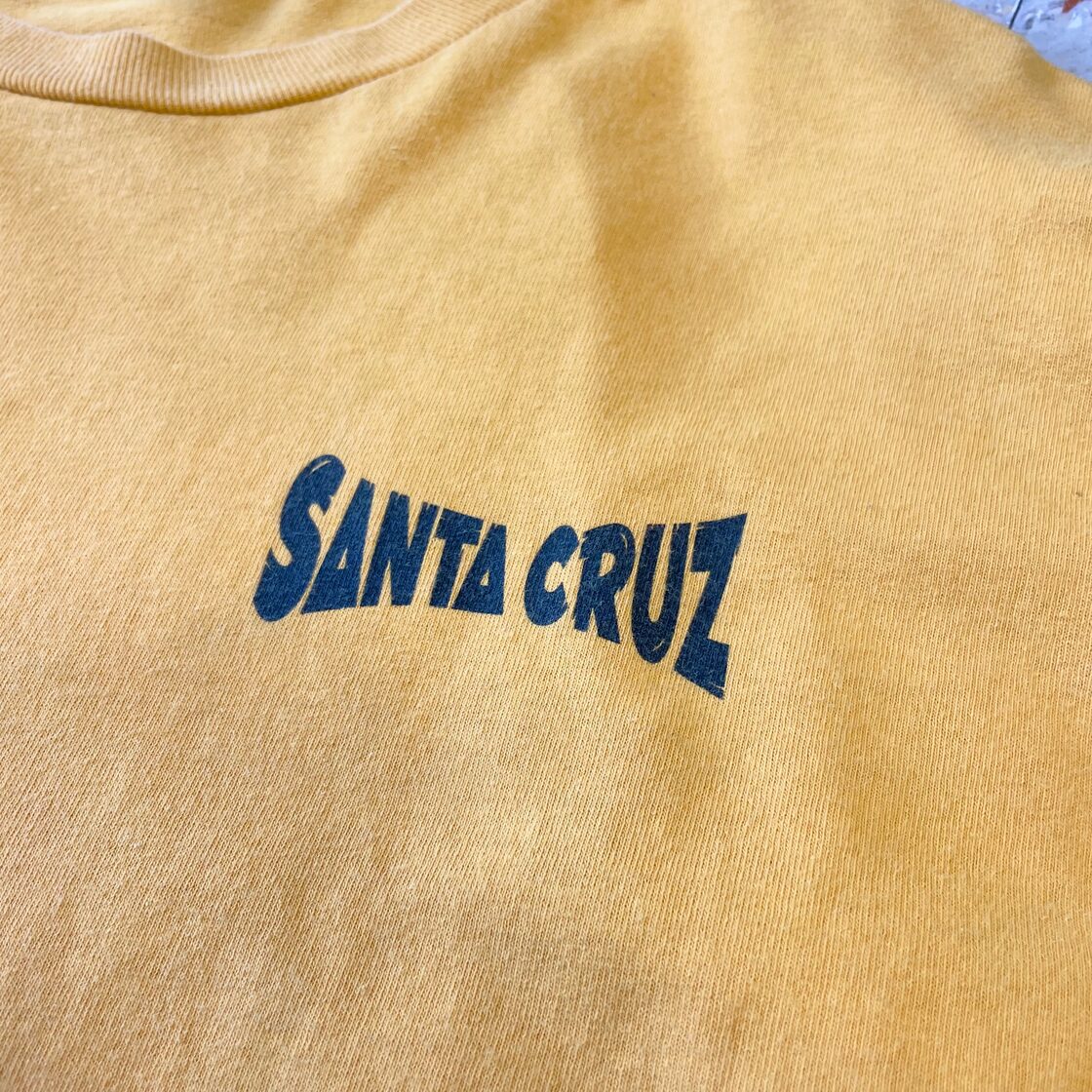 00s 【SANTA CRUZ】 サンタクルーズ NHS 黒タグ 袖プリント ロンT size 