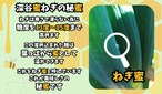 深谷蜜ねぎ2,5キロ