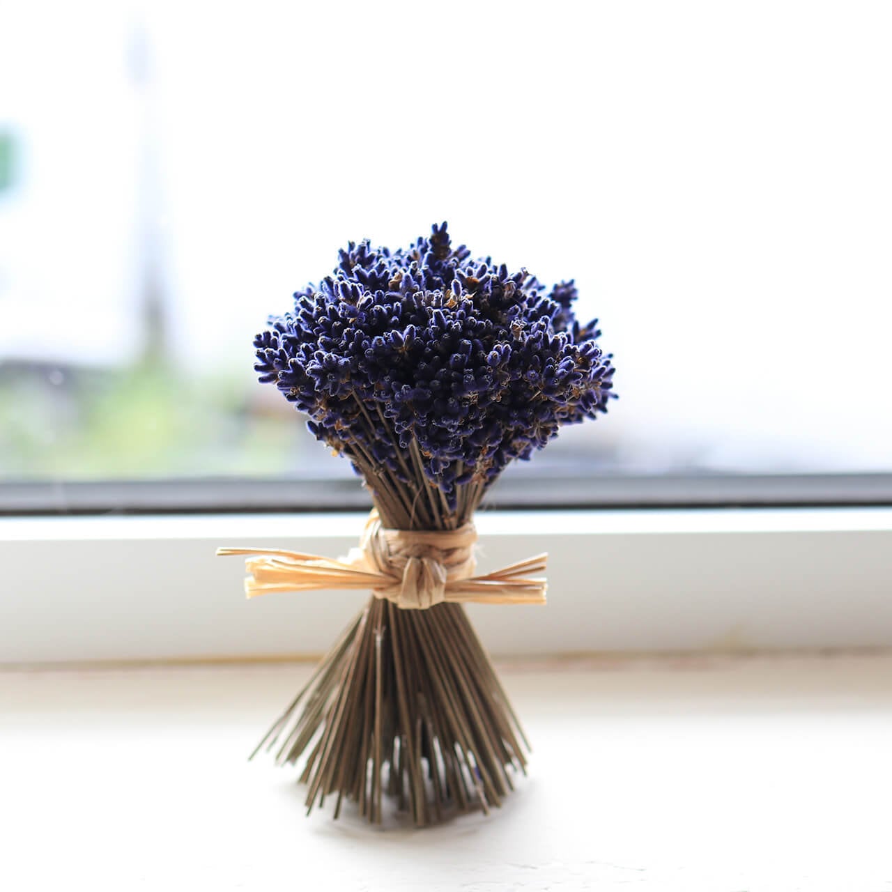 ハンドメイドドライフラワー　ラベンダー ディスプレードーム ドライフラワー ｜ YDMオンラインストア ｜ 横浜ディスプレイミュージアム