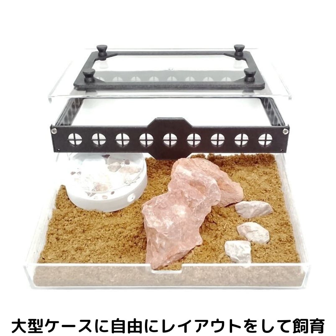 大型レイアウト用ケース(C-Hkd2) | あり巣 in underground（蟻の総合店